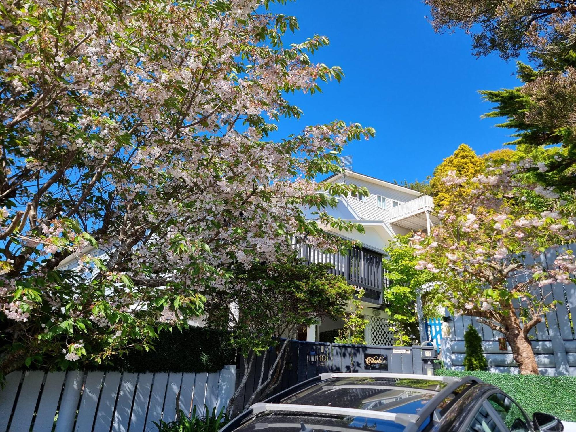 Entire Ground Floor With Full-Privacy And Family-Friendly Popular To Ferry Catchers Wellington Exteriör bild